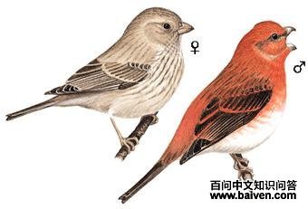 ��ͨ��ȸ��ͼ��