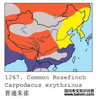 ��ͨ��ȸ�ĵ����ֲ�ͼ