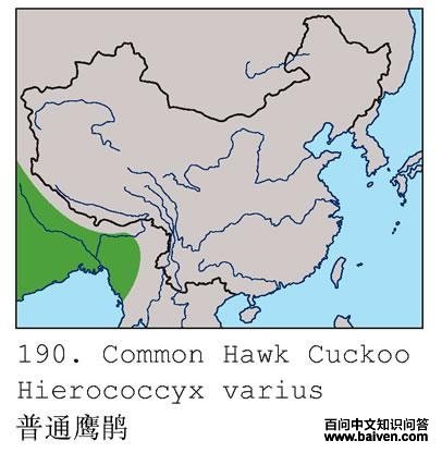 ��ͨӥ��ĵ����ֲ�ͼ