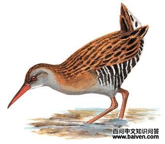 ��ͨ������ͼ��