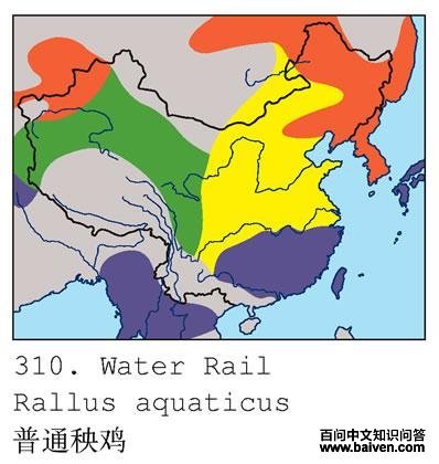 ��ͨ�����ĵ����ֲ�ͼ