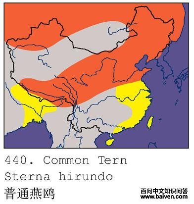 ��ͨ��Ÿ�ĵ����ֲ�ͼ