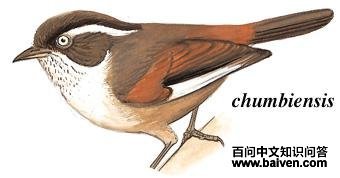 ��üȸ�̵�ͼ��