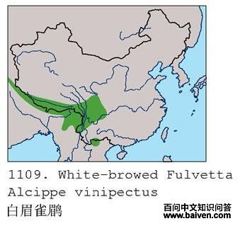 ��üȸ�̵ĵ����ֲ�ͼ