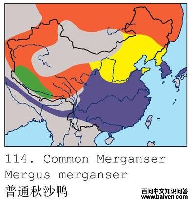 ��ͨ��ɳѼ�ĵ����ֲ�ͼ