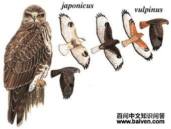 ��ͨ�\��ͼ��