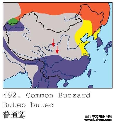 ��ͨ�\�ĵ����ֲ�ͼ