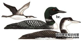 ��ͨǱ���ͼ��