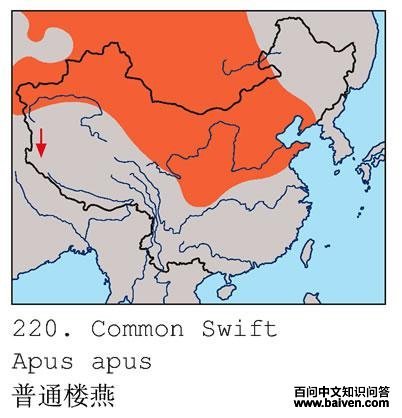 ��ͨ¥��ĵ����ֲ�ͼ