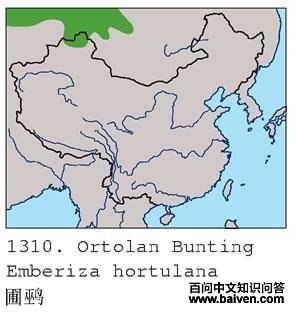 ���c�ĵ����ֲ�ͼ