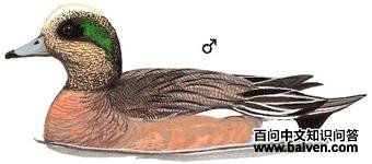 ������Ѽ��ͼ��