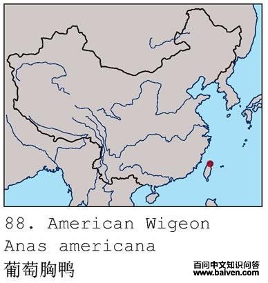 ������Ѽ�ĵ����ֲ�ͼ