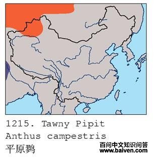 ƽԭ�ҵĵ����ֲ�ͼ