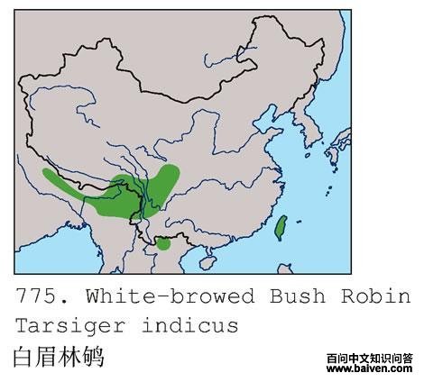 ��ü���ĵ����ֲ�ͼ