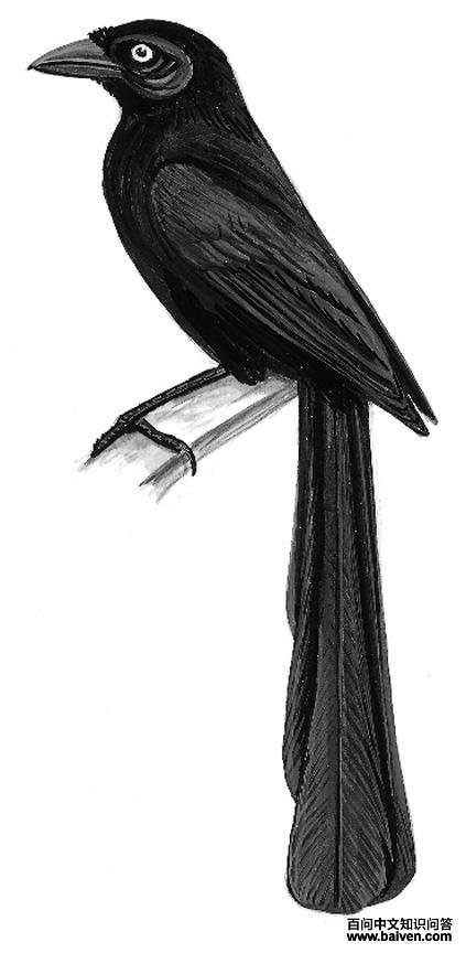 ��β��ȵ��ͼ��