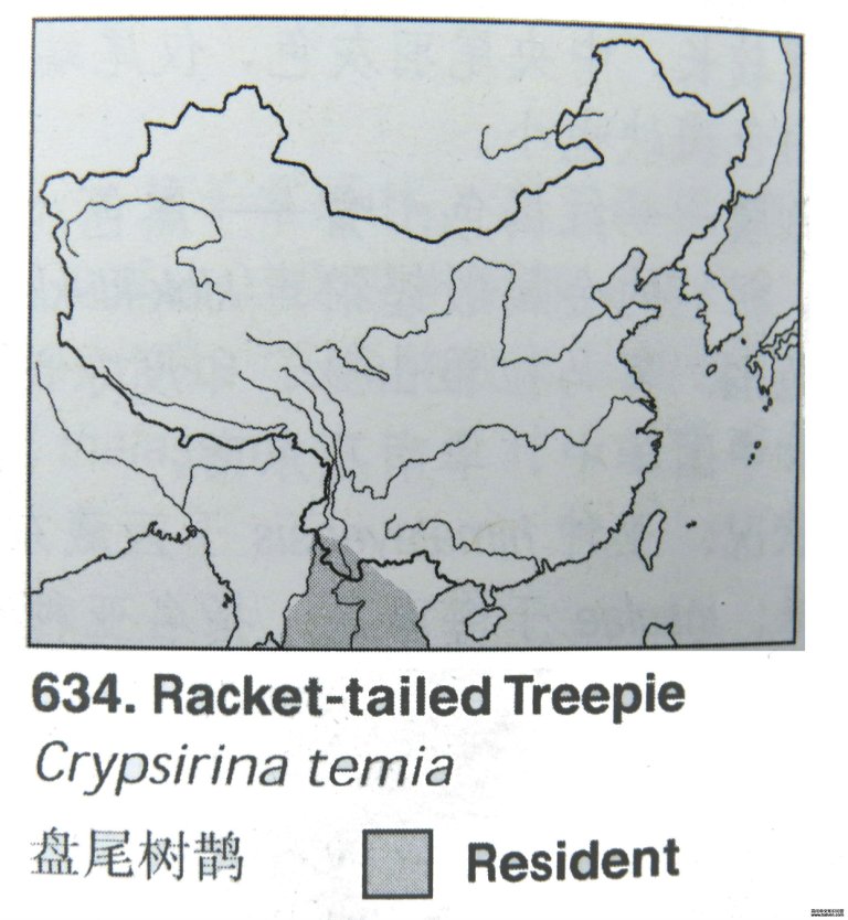 ��β��ȵ�ĵ����ֲ�ͼ