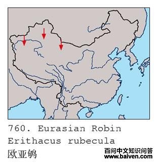 ŷ���ĵ����ֲ�ͼ