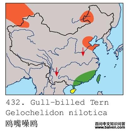 Ÿ����Ÿ�ĵ����ֲ�ͼ