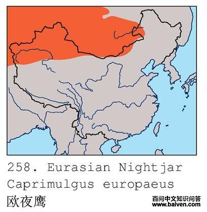 ŷҹӥ�ĵ����ֲ�ͼ