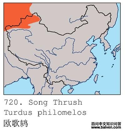 ŷ���ĵ����ֲ�ͼ