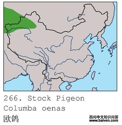 ŷ��ĵ����ֲ�ͼ