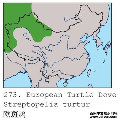 ŷ���ĵ����ֲ�ͼ