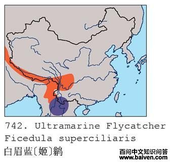 ��ü��[��]�l�ĵ����ֲ�ͼ