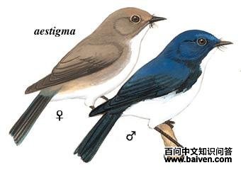 ��ü��[��]�l��ͼ��