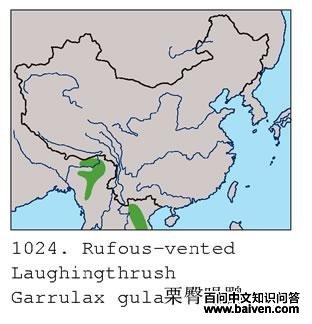 �������̵ĵ����ֲ�ͼ