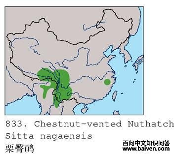 �������ĵ����ֲ�ͼ