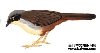 �������̵�ͼ��