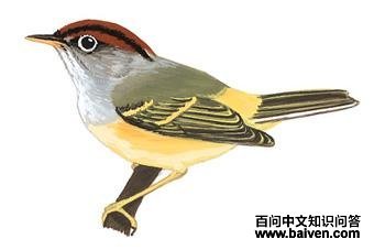 ��ͷ�lݺ��ͼ��