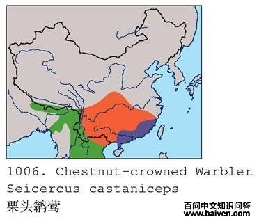 ��ͷ�lݺ�ĵ����ֲ�ͼ