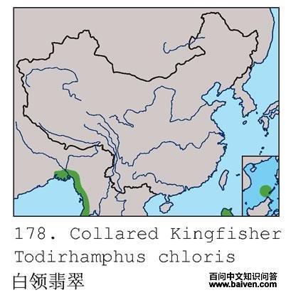 �������ĵ����ֲ�ͼ