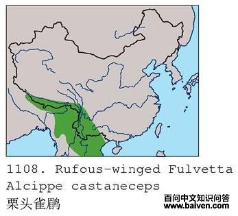 ��ͷȸ�̵ĵ����ֲ�ͼ