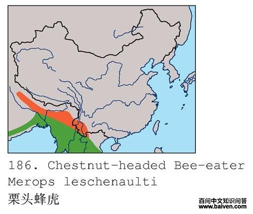 ��ͷ�仢�ĵ����ֲ�ͼ