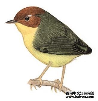 ��ͷ��ݺ��ͼ��