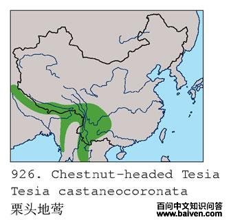 ��ͷ��ݺ�ĵ����ֲ�ͼ