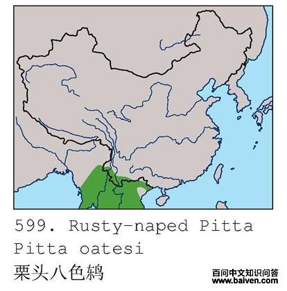 ��ͷ��ɫ�ĵ����ֲ�ͼ