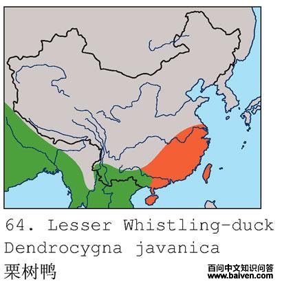 ����Ѽ�ĵ����ֲ�ͼ