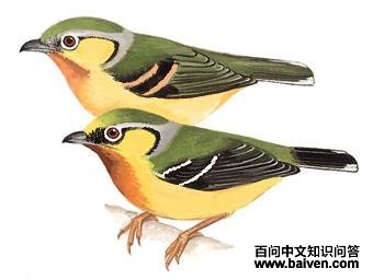 �����V�̵�ͼ��