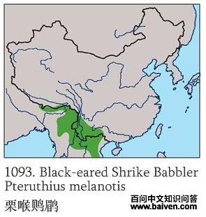 �����V�̵ĵ����ֲ�ͼ