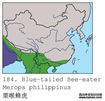 �����仢�ĵ����ֲ�ͼ