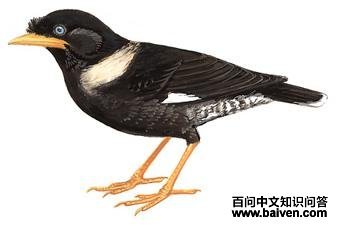 ����˸��ͼ��