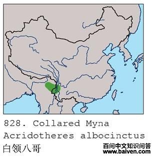 ����˸�ĵ����ֲ�ͼ