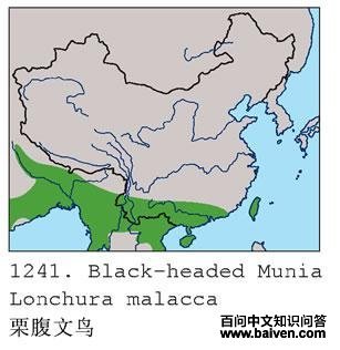 ��������ĵ����ֲ�ͼ