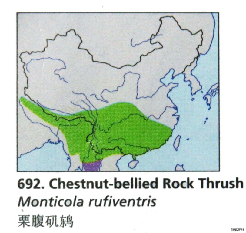 �������ĵ����ֲ�ͼ