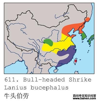 ţͷ���͵ĵ����ֲ�ͼ