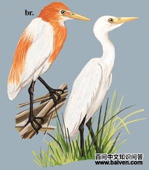 ţ���ص�ͼ��