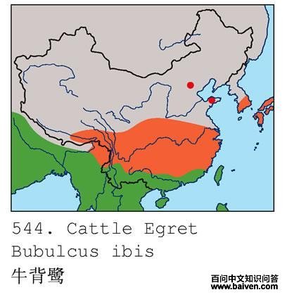 ţ���صĵ����ֲ�ͼ